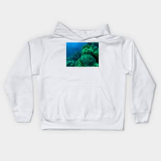 Red Sea coral reef Kids Hoodie